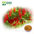 Schisandra Chinensis Extract 1%-9% Schisandrins